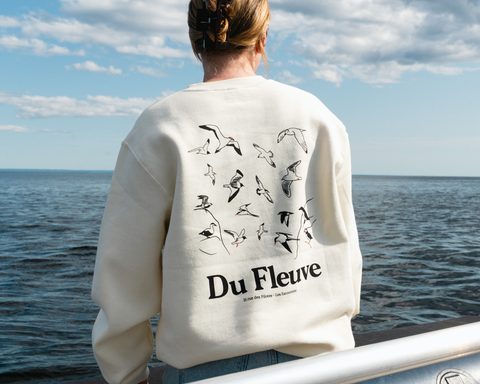 Crewneck oiseaux