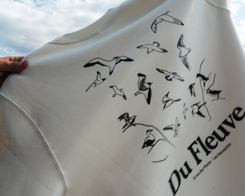 Crewneck oiseaux