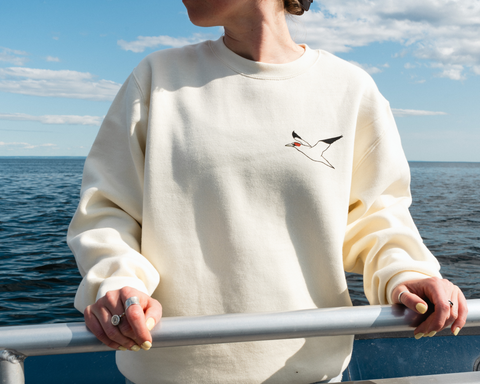 Crewneck oiseaux