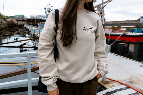 Crewneck oiseaux