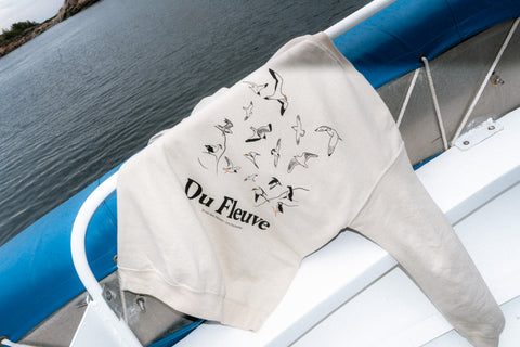 Crewneck oiseaux
