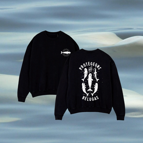 Crewneck noir - protégeons nos bélugas