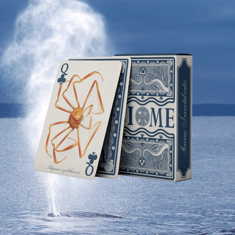 Jeu de cartes Biôme