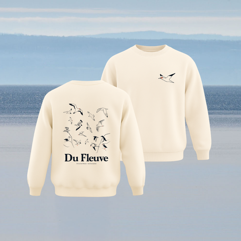 Crewneck oiseaux